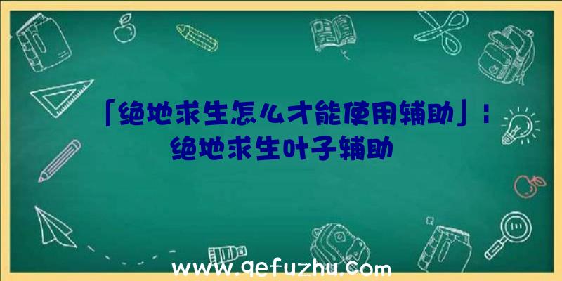 「绝地求生怎么才能使用辅助」|绝地求生叶子辅助